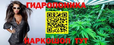 дурь Новозыбков