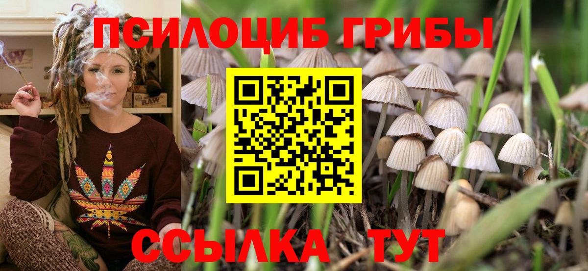 Галлюциногенные грибы мицелий  Вход с VPN  Ставрополь 